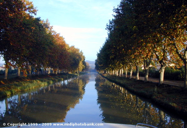 The Midi Canal at Argens-Minervois