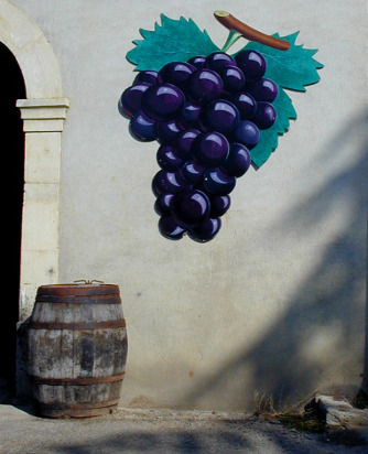 A wine cave at Argens-Minervois