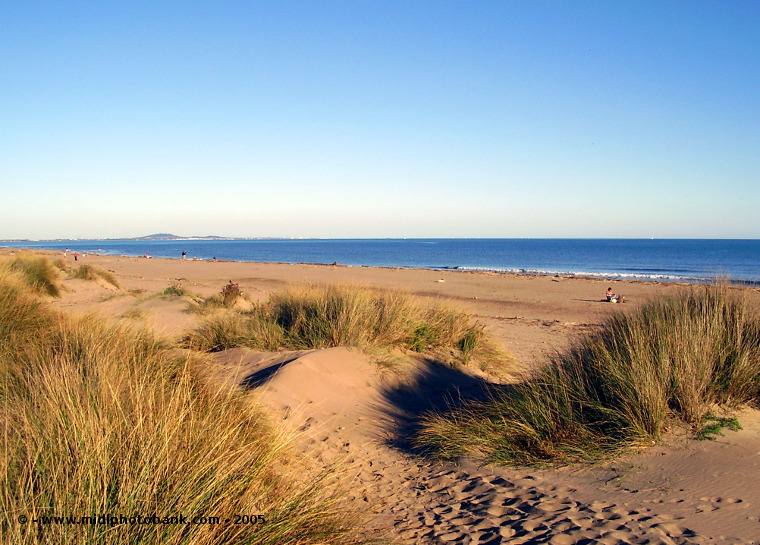 Sérignan Lonely Sandy Beaches