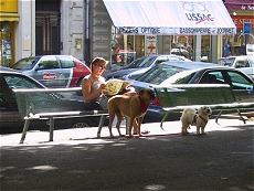 Béziers Les Allées