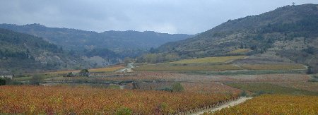 Autumn coloours in the Corbières