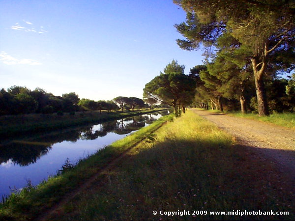 Canal du Jonction