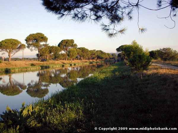 Canal du Jonction