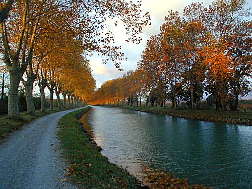 Late Autumn Afternoon ― at the La Cascade restaurant on the Midi Canal